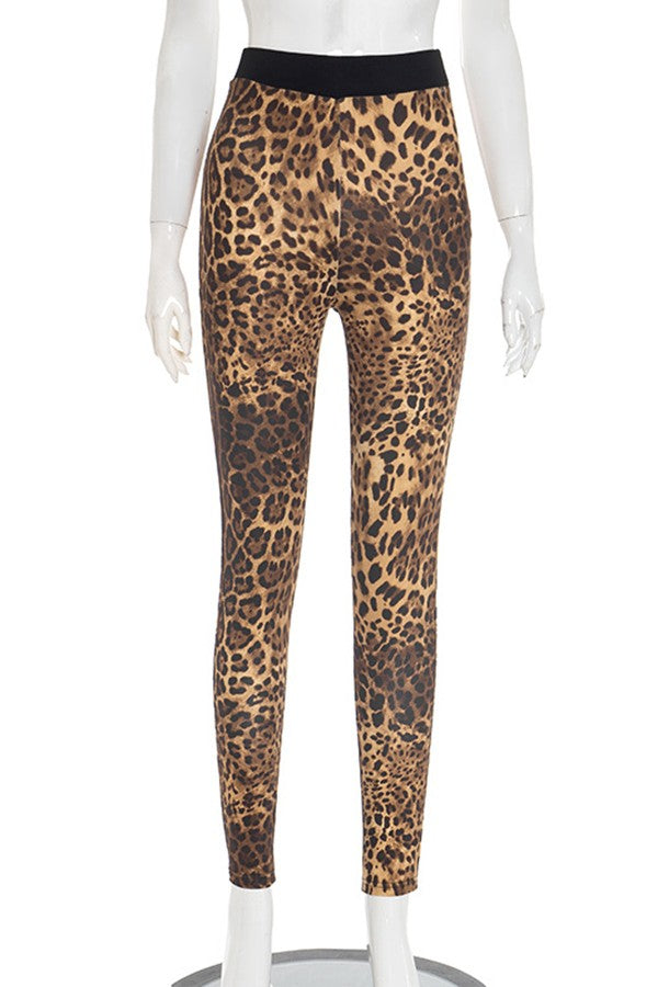 Paris Leopard Leggings