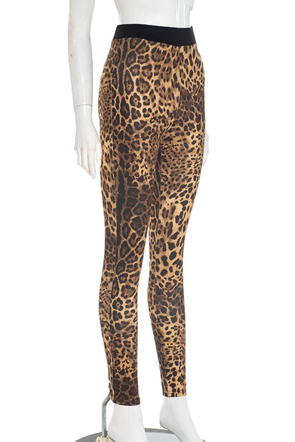 Paris Leopard Leggings